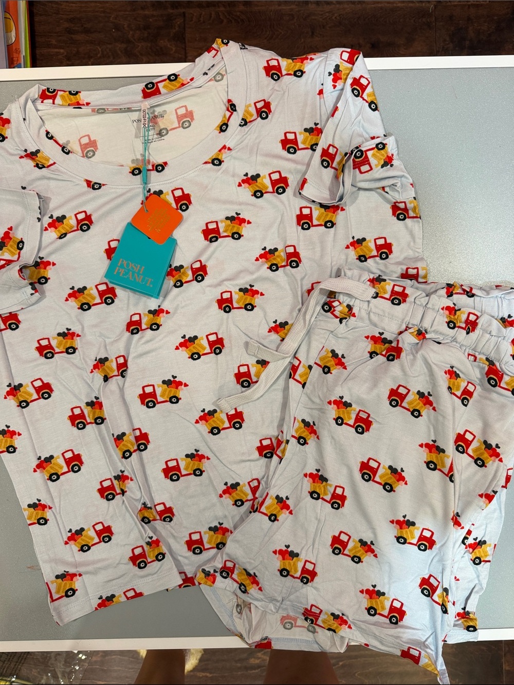 Posh Peanut Bamboo Women’s I Dig You Short Sleeve & Shorts Pajama Set Small NWT